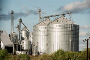 Desafíos del sector arrocero ante baja en el precio