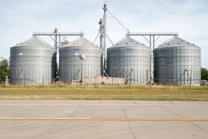 Suben los granos por biocombustibles