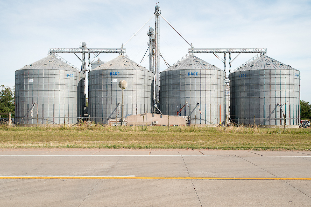 Suben los granos por biocombustibles