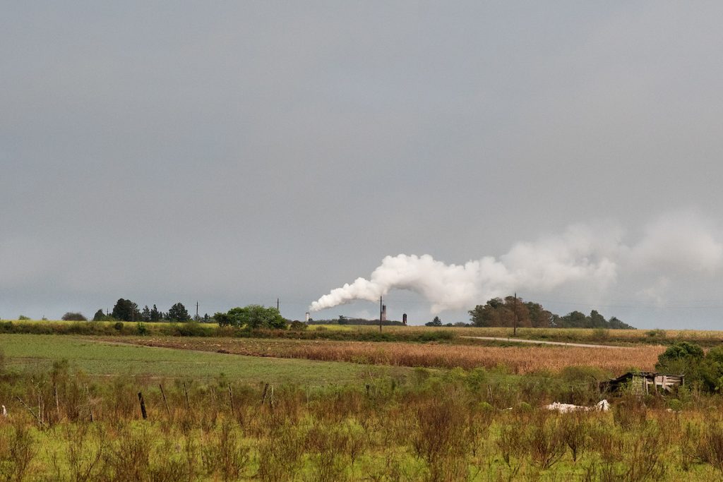 El norte, la caña de azúcar y el citrus