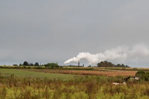 El norte, la caña de azúcar y el citrus