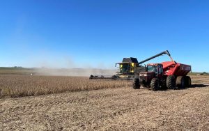 Productores “vendieron algo más de soja”, pero “esperan” que supere “los US$ 375”, dijo ejecutivo de Cradeco