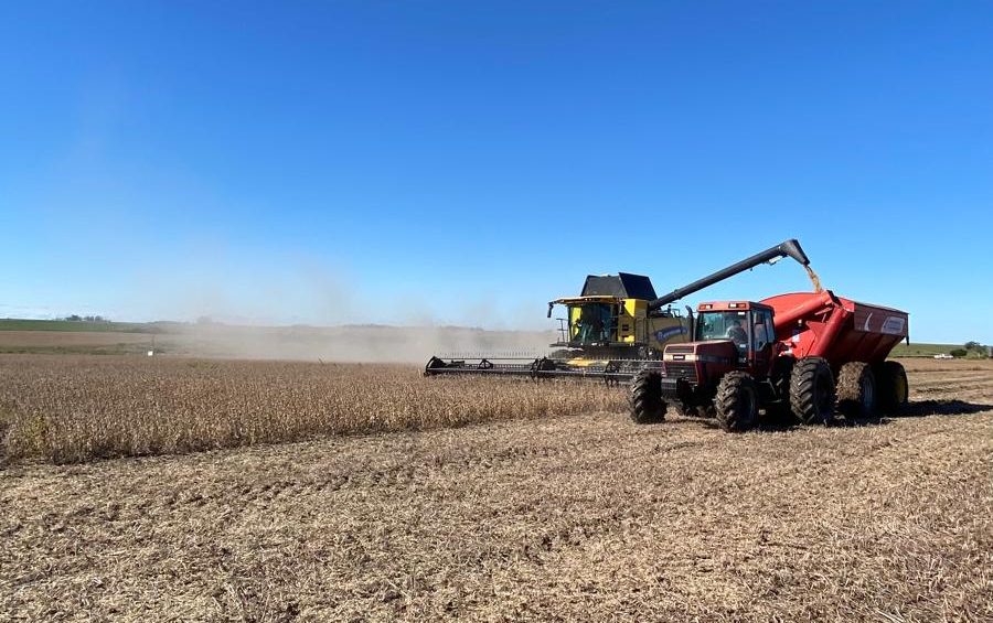 Productores “vendieron algo más de soja”, pero “esperan” que supere “los US$ 375”, dijo ejecutivo de Cradeco