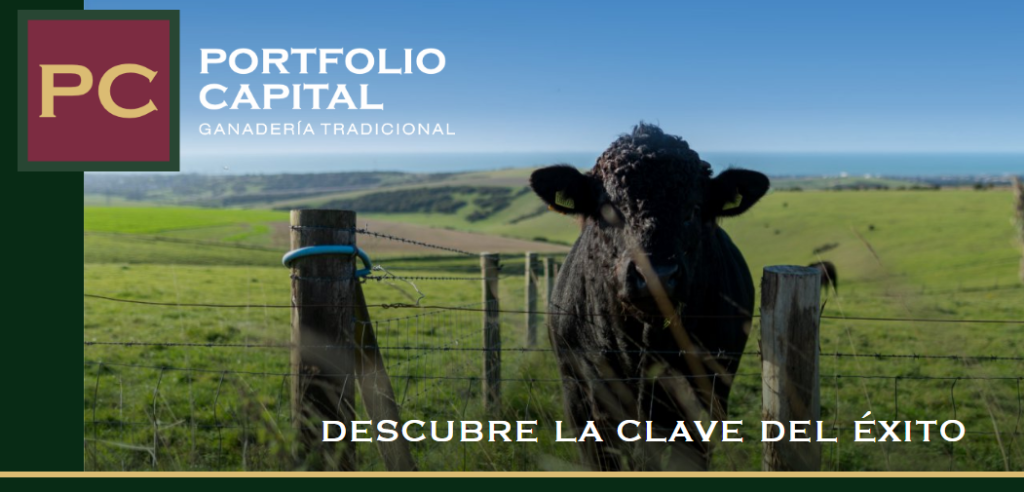 Portfolio Capital presentó a sus inversores una propuesta de repago a largo plazo