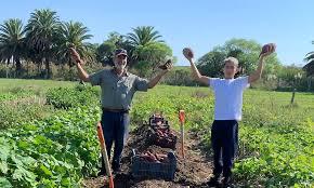 La Escuela Agraria de Gregorio Aznárez logró un récord de producción en su huerta educativa que es manejada por los propios alumnos