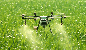 Innovación en el agro: Cuando el problema impulsa la solución
