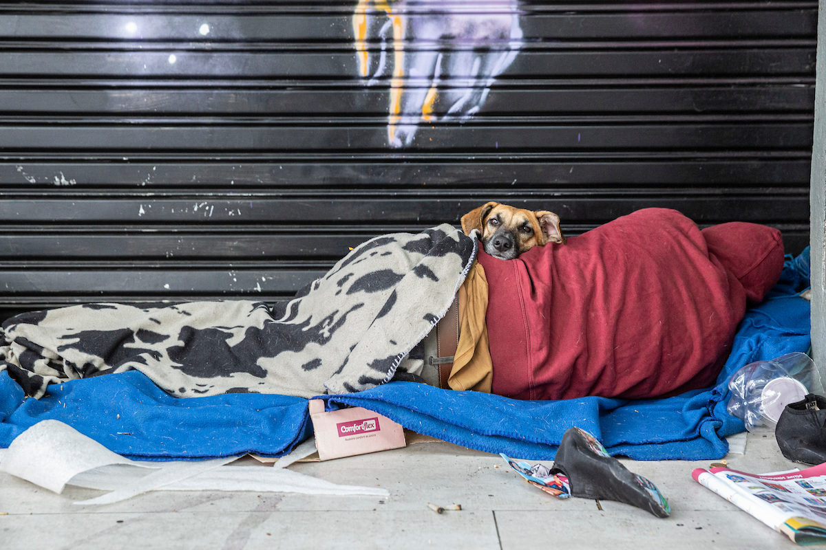 En Salto, pese a la alerta roja del gobierno, la mitad de las personas en calle siguen durmiendo a la intemperie
