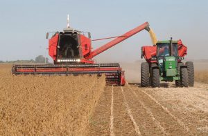 Argentina: el campo le pide al gobierno medidas concretas