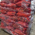 Productores granjeros de Canelones donaron 20.000 kilos de zanahorias para distintas instituciones
