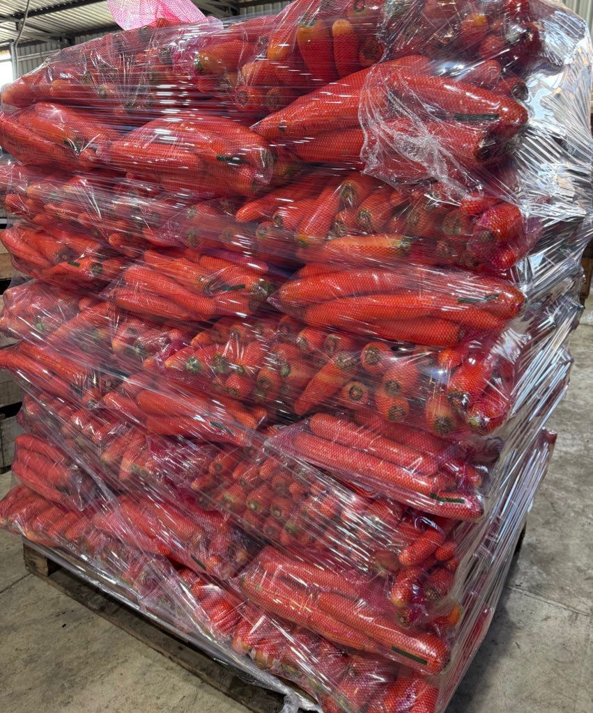 Productores granjeros de Canelones donaron 20.000 kilos de zanahorias para distintas instituciones