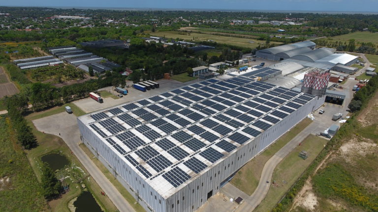 Ventus cumple 15 años: De pioneros en Uruguay a referentes regionales en energías renovables