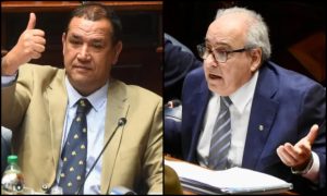 Oposición interpela al ministro de Ganadería por la compra de María Dolores