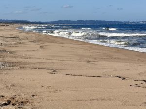 Derrame de hidrocarburos preocupa en Maldonado: Más de un kilómetro y medio de playas afectadas