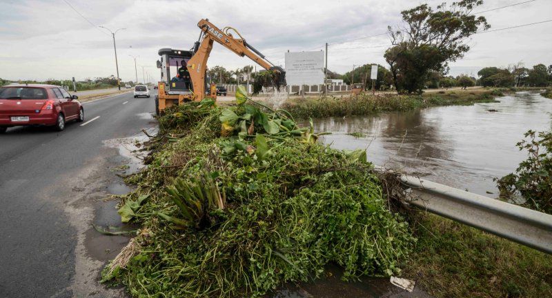 Temporal en Canelones: árboles caídos, hogares sin luz y 60 llamados de asistencia