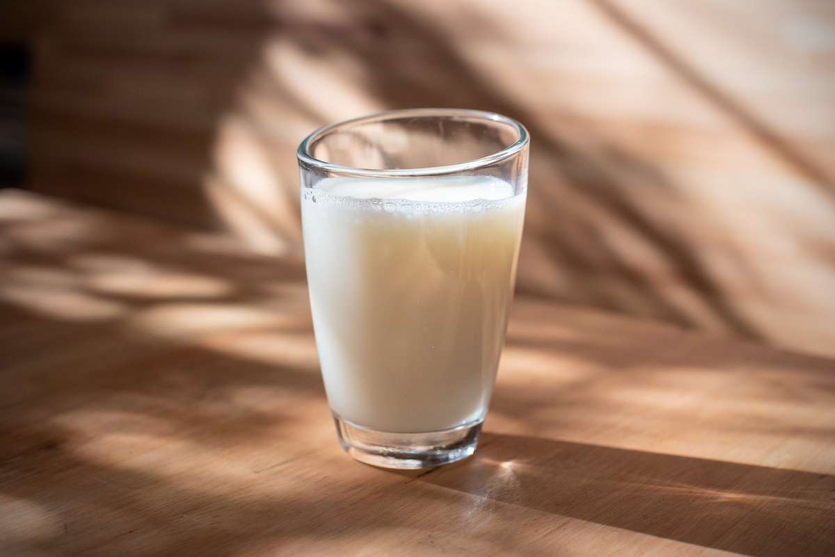 Sube el precio de los lácteos en el mercado internacional: leche en polvo retoma los 4.000 dólares