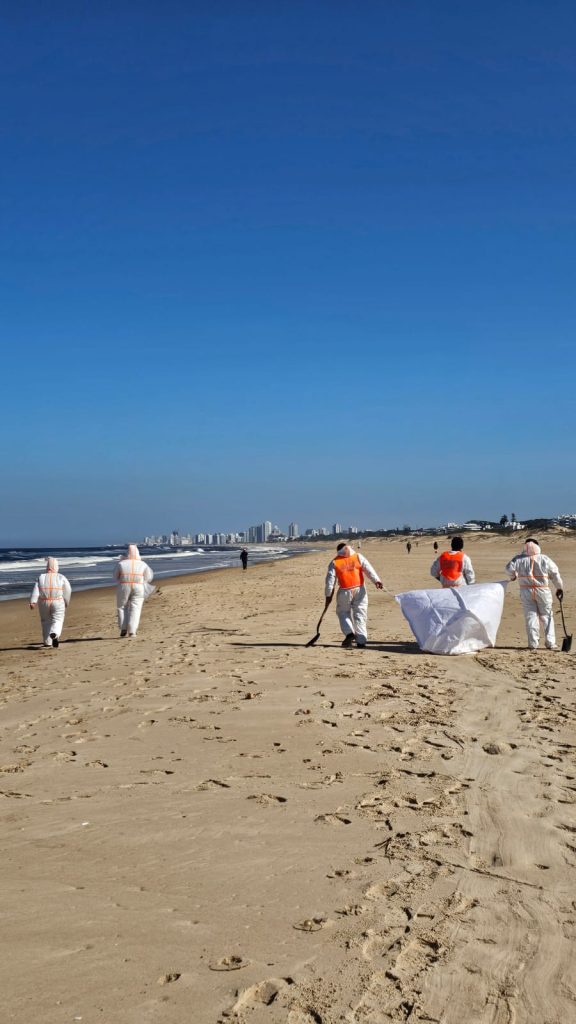 Cecoed de Maldonado continúa con la limpieza de playas tras derrame de hidrocarburos