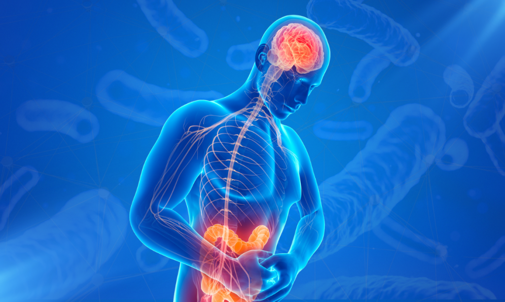 Mente e intestino: cómo el estrés y los hábitos influyen en la salud