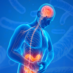 Mente e intestino: cómo el estrés y los hábitos influyen en la salud