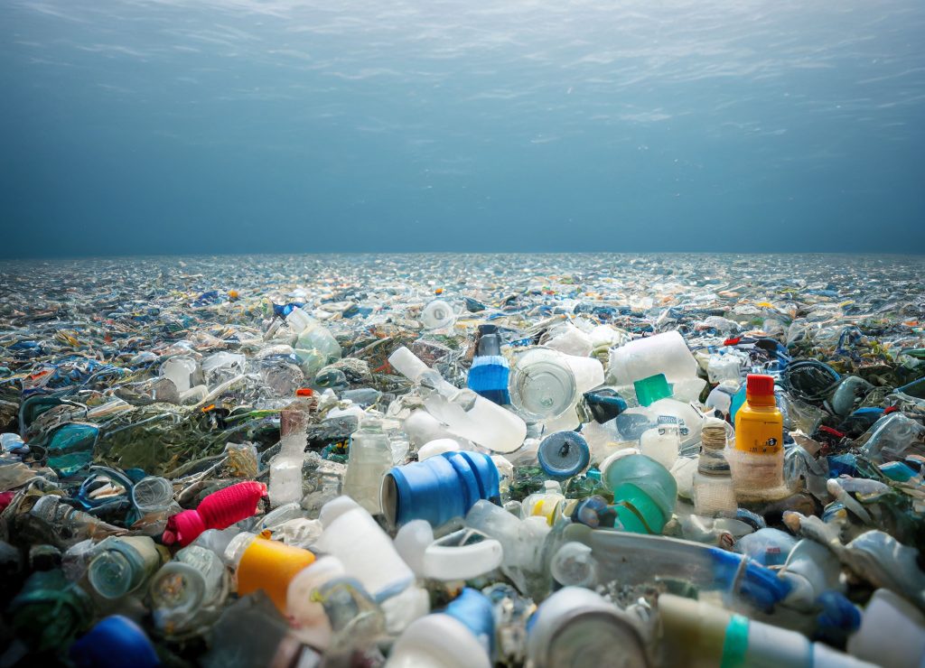 Bolsas con biomasa: El emprendimiento uruguayo que busca reducir la contaminación por plásticos