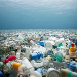 Bolsas con biomasa: El emprendimiento uruguayo que busca reducir la contaminación por plásticos