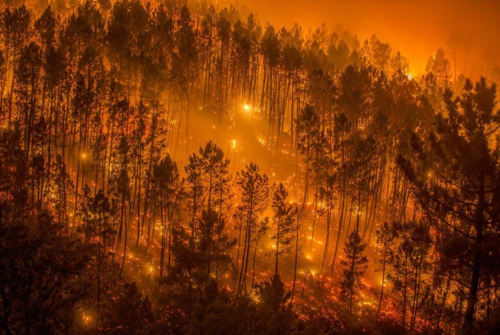 Medio millón de hectáreas quemadas en Europa  y 70 mil evacuados