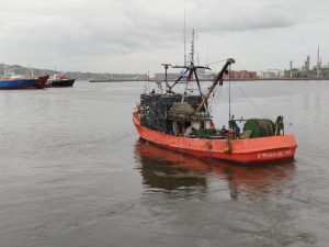 Ya son más de 5 mil los anotados para el llamado laboral de la Cámara de Industrias Pesqueras