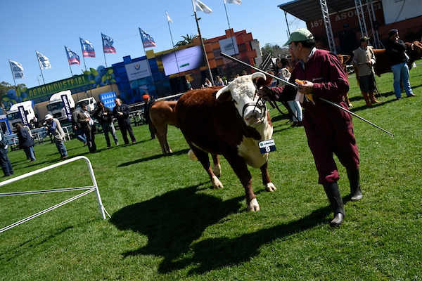 Riego, dólar y sanidad: la mirada del ex ministro Uriarte sobre la actualidad del agro en el cierre de la Expo Prado