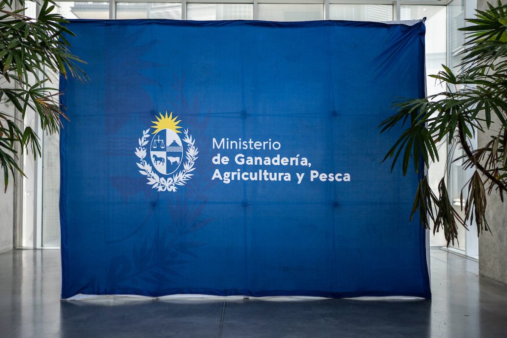 Alcuri: No hay ninguna “jefatura” del MGAP otorgada por concurso 