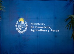 Alcuri: No hay ninguna “jefatura” del MGAP otorgada por concurso 