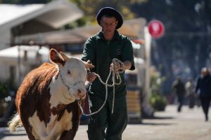 Pronóstico del tiempo de José María Rodríguez