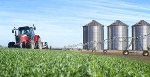 Liquidación agropecuaria 2025 | Análisis del Estudio Posadas