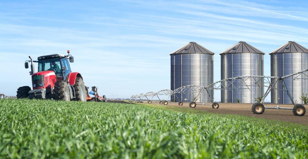 Liquidación agropecuaria 2025 | Análisis del Estudio Posadas