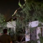 Temporal de Santa Rosa: en Florida varias personas quedaron sin luz por árboles caídos y voladuras de techos