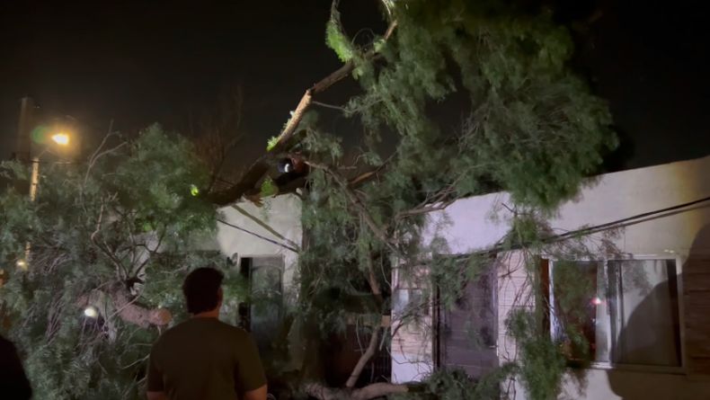 Temporal de Santa Rosa: en Florida varias personas quedaron sin luz por árboles caídos y voladuras de techos