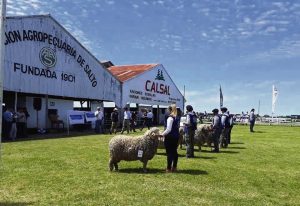 Del jueves 2 al domingo 5 de octubre se llevará a cabo una nueva edición de la tradicional Expo Salto