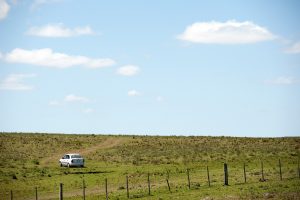 Campo natural, ¿Qué hay debajo de la piedra?