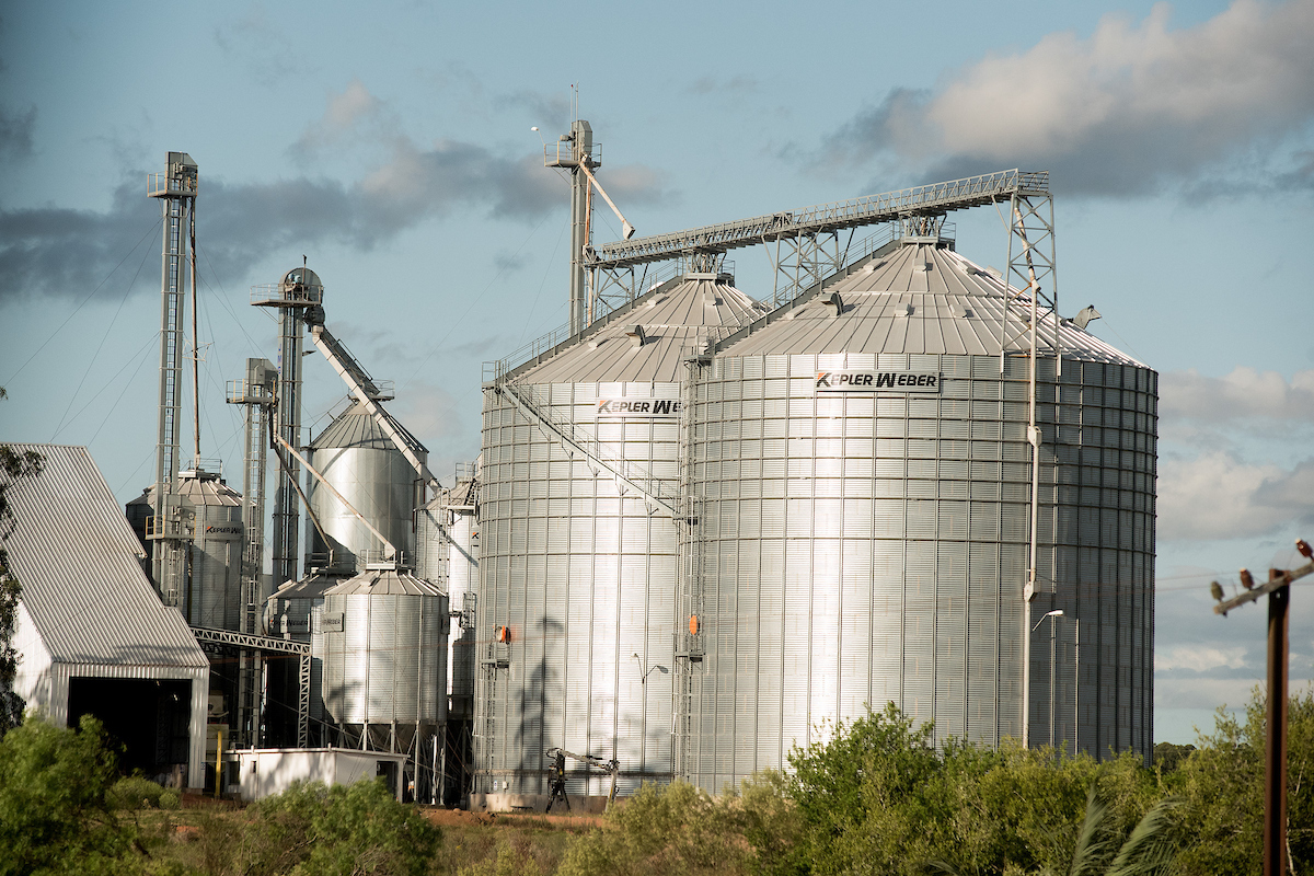 Panamá rechazó arroz uruguayo pese a gestiones del gobierno