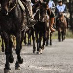 La marcha del Bicentenario del Rincón a Sarandí: Homenaje a Rivera, Lavalleja y las batallas de 1825