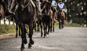 La marcha del Bicentenario del Rincón a Sarandí: Homenaje a Rivera, Lavalleja y las batallas de 1825