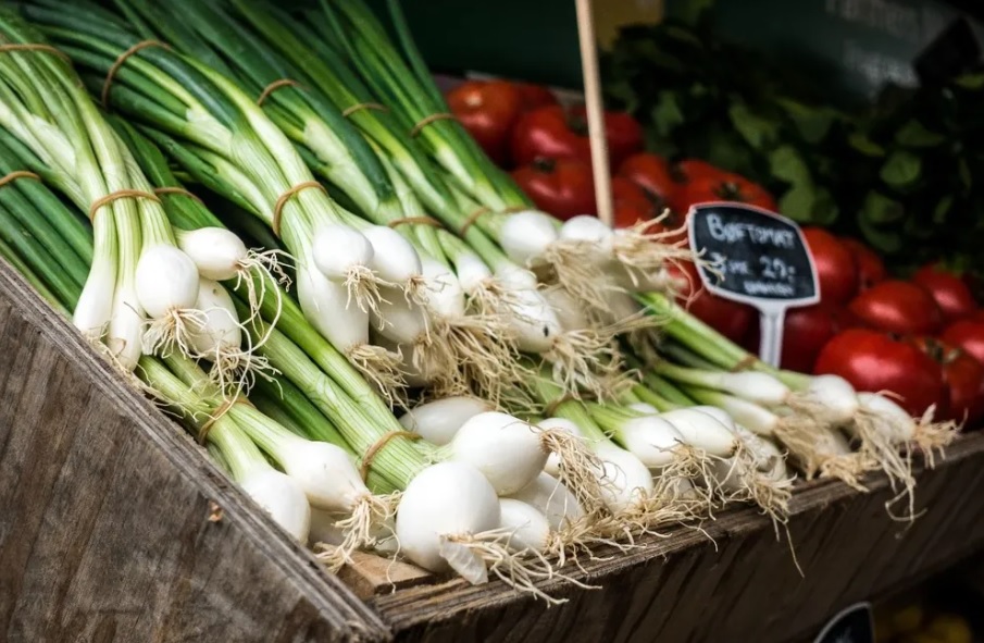 ¿Qué comemos hoy?: La UAM recomienda el consumo de cebolla de verdeo, naranja, lechuga, frutilla, zanahoria, rúcula y quinoto