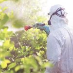 Presupuesto incluye impuesto a agroquímicos