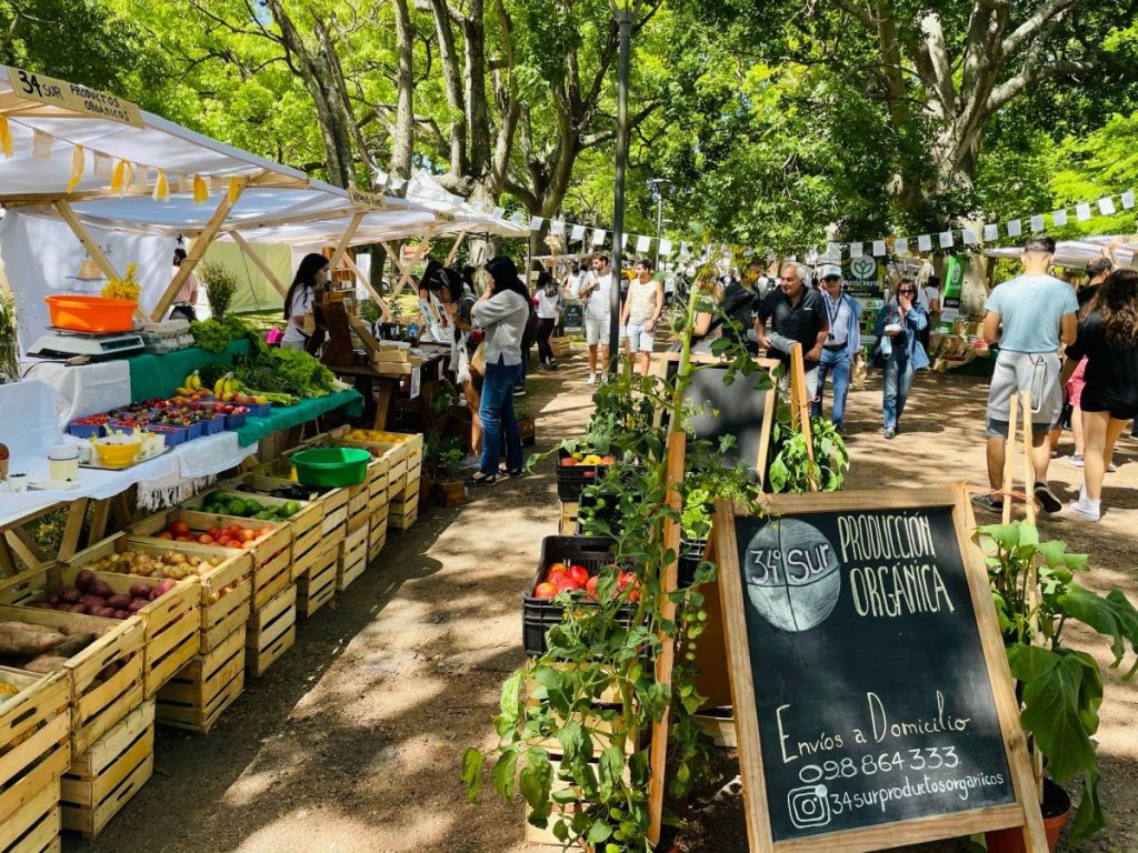 La Bioferia Uruguay llega a Canelones: Sostenibilidad, música y consumo consciente en el bosque de El Pinar