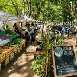 La Bioferia Uruguay llega a Canelones: Sostenibilidad, música y consumo consciente en el bosque de El Pinar