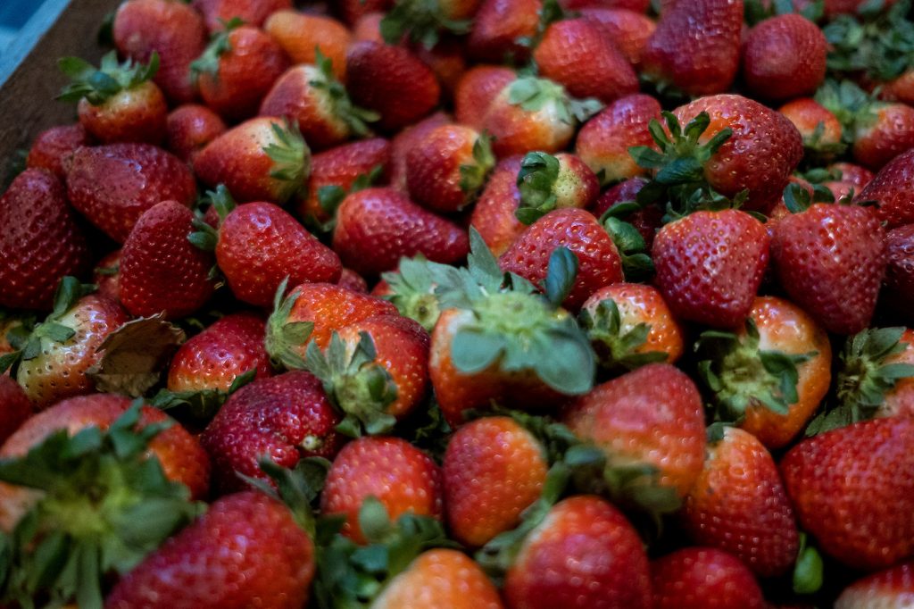 ¿Qué comemos hoy?: La UAM recomienda el consumo de frutilla, lechuga, naranja, arvejas, remolacha, habas y limón