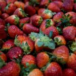 ¿Qué comemos hoy?: La UAM recomienda el consumo de frutilla, lechuga, naranja, arvejas, remolacha, habas y limón