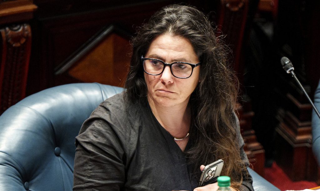 Kramer: la ley de eutanasia es garantista y no llevará a descuidos en el sistema de salud