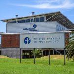 Científicas del Institut Pasteur recrean el laboratorio una etapa crucial del parásito de la toxoplasmosis