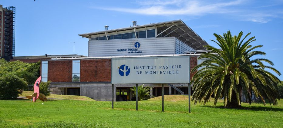 Científicas del Institut Pasteur recrean el laboratorio una etapa crucial del parásito de la toxoplasmosis