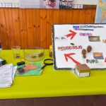Estudiantes rurales de Tala desarrollan un dispositivo para detectar el picudo rojo en palmeras Estudiantes rurales de Tala desarrollan un dispositivo para detectar el picudo rojo en palmeras