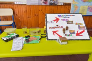 Estudiantes rurales de Tala desarrollan un dispositivo para detectar el ­picudo rojo en palmeras